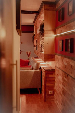 Appartement atypique au cœur de Alsace